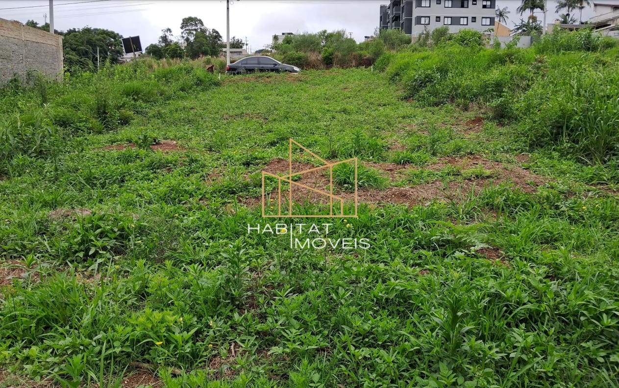 Terreno - Campo Pequeno Colombo - Imagem 2