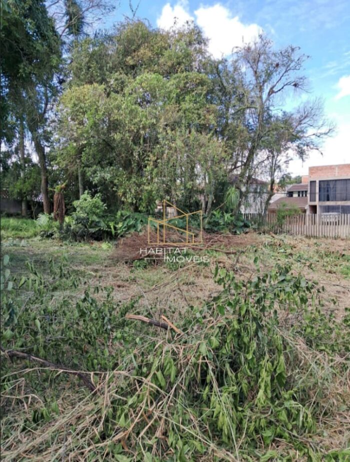 Terreno - Rio Verde Colombo - Image 6